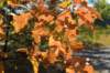 moerputten_018_small.jpg