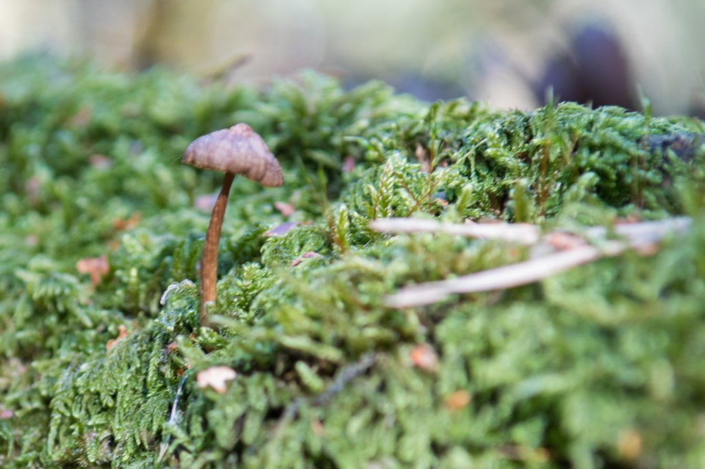 moerputten_019.jpg