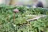 moerputten_019_small.jpg