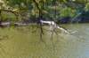 moerputten_020_small.jpg