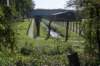 moerputten_022_small.jpg