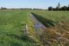 moerputten_029_small.jpg