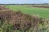 moerputten_032_small.jpg