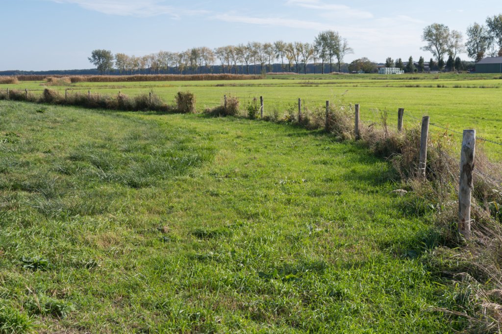 moerputten_033.jpg