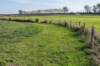 moerputten_033_small.jpg