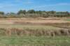 moerputten_034_small.jpg