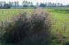 moerputten_036_small.jpg