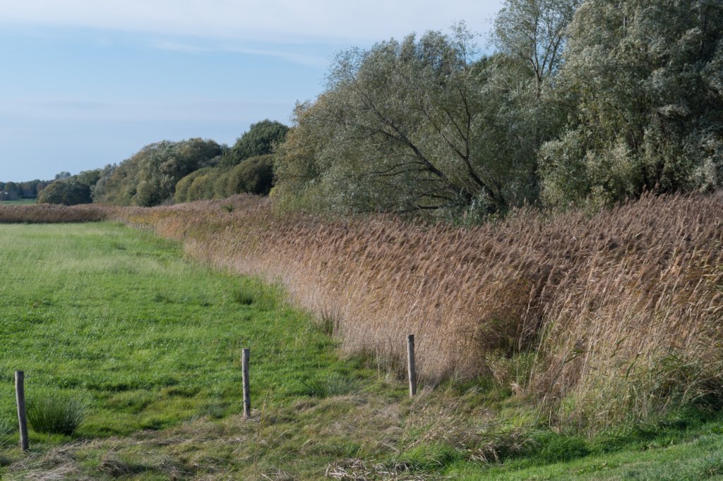 moerputten_037.jpg