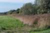 moerputten_037_small.jpg