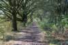 moerputten_038_small.jpg
