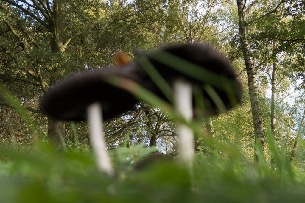 moerputten_056.jpg
