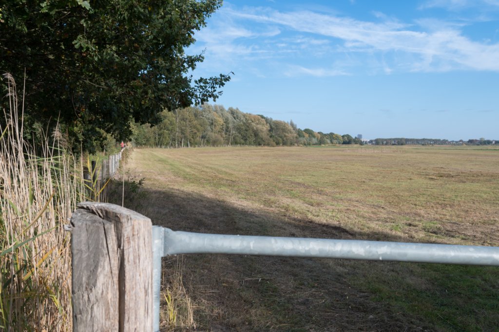 moerputten_058.jpg