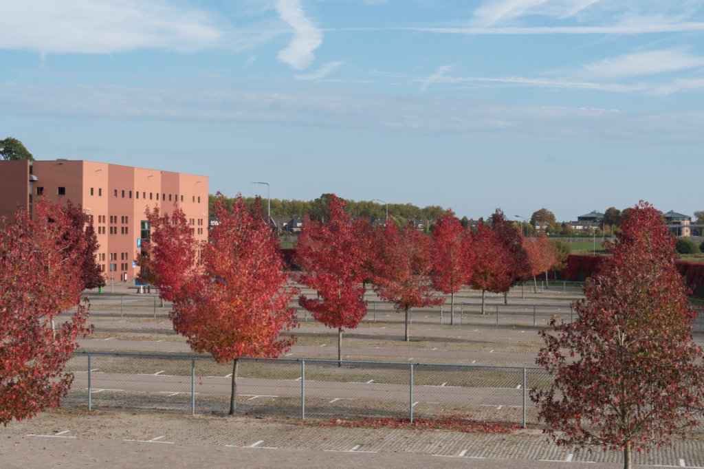 moerputten_059.jpg