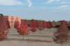 moerputten_059_small.jpg