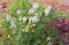 moerputten_061_small.jpg