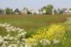 mdam_034_small.jpg