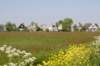 mdam_035_small.jpg