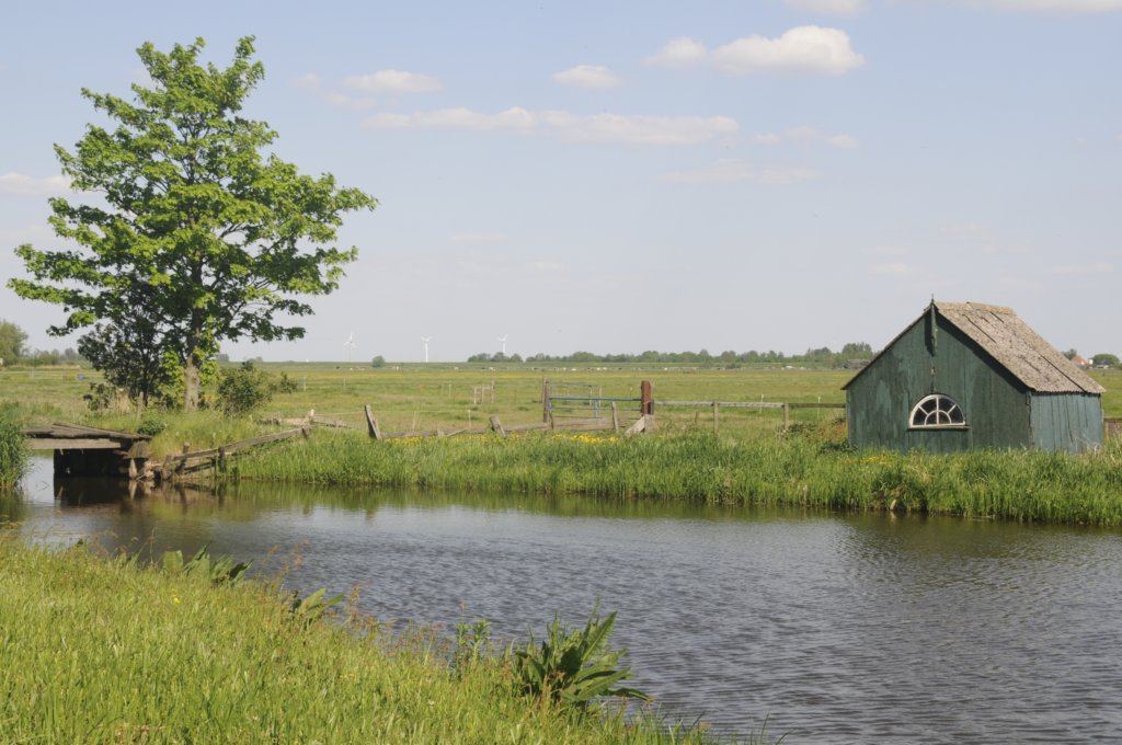 mdam_040.jpg