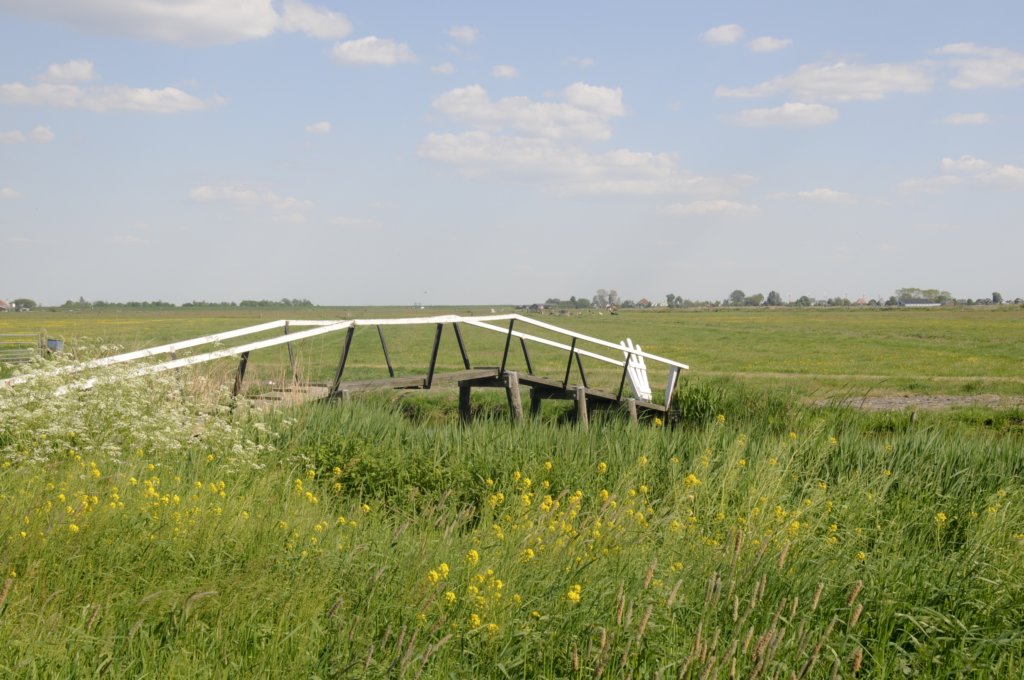 mdam_042.jpg