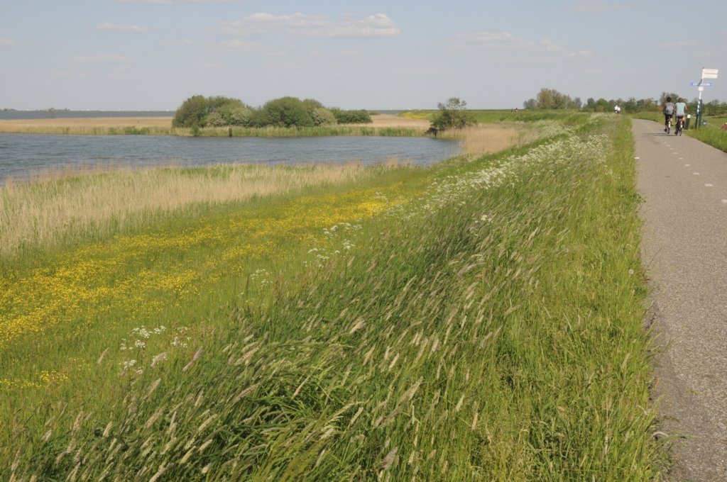 mdam_045.jpg