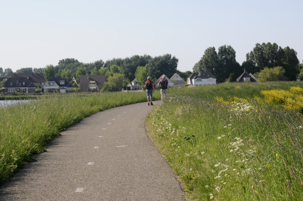 mdam_050.jpg