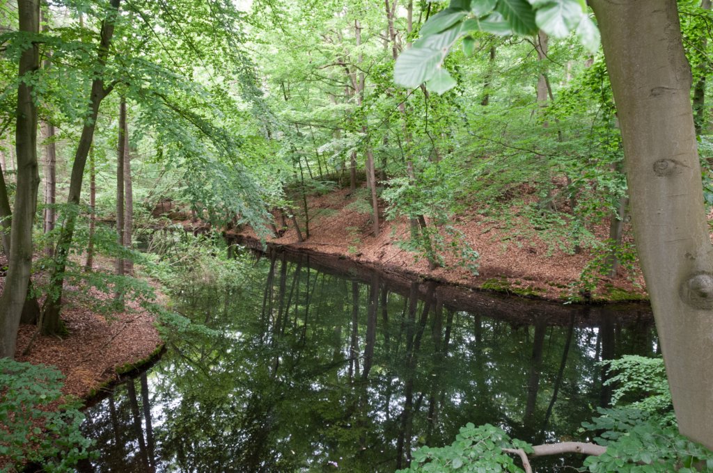naardenbussum_003.jpg