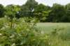 naardenbussum_006_small.jpg