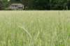 naardenbussum_007_small.jpg