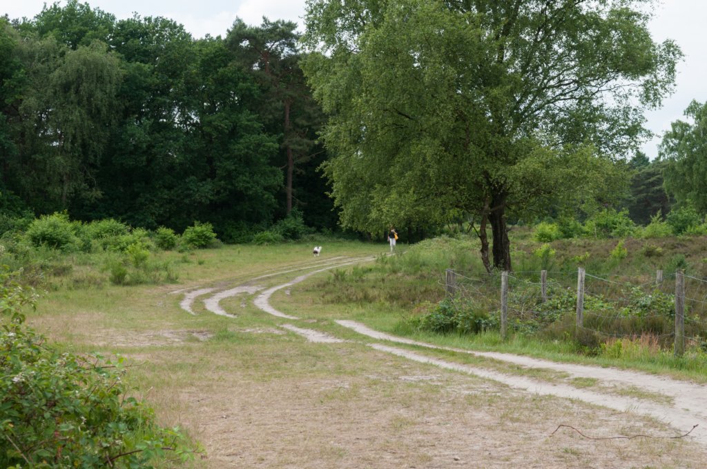 naardenbussum_010.jpg