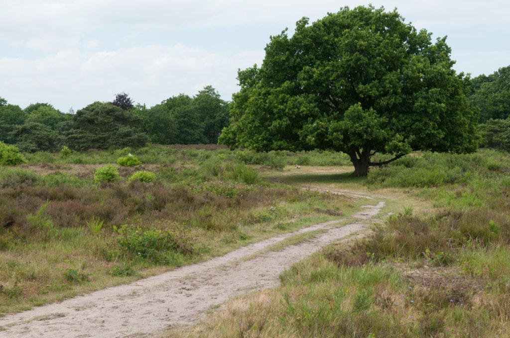 naardenbussum_011.jpg