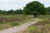 naardenbussum_011_small.jpg