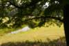 naardenbussum_013_small.jpg