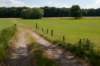 naardenbussum_014_small.jpg