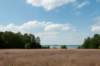 naardenbussum_019_small.jpg