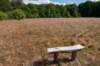 naardenbussum_020_small.jpg