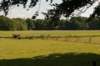 naardenbussum_022_small.jpg