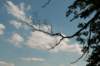 naardenbussum_025_small.jpg