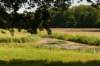 naardenbussum_027_small.jpg