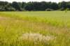naardenbussum_035_small.jpg