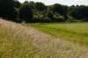 naardenbussum_036_small.jpg