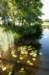 naardenbussum_046_small.jpg