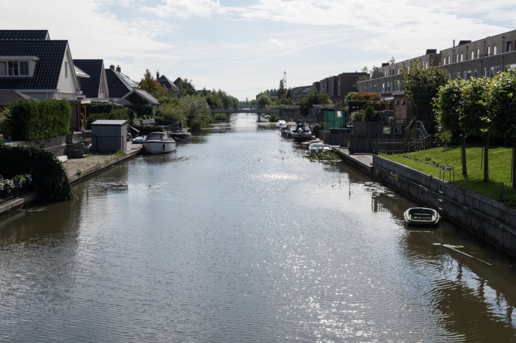 nieuwewildernis_002.jpg