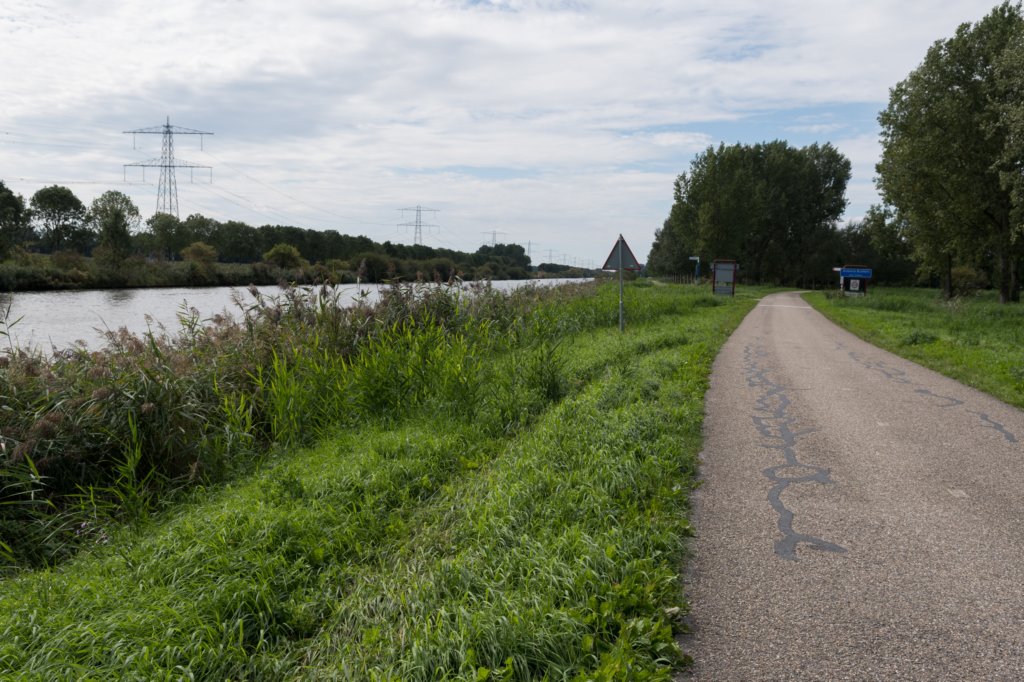 nieuwewildernis_004.jpg