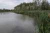 nieuwewildernis_005_small.jpg