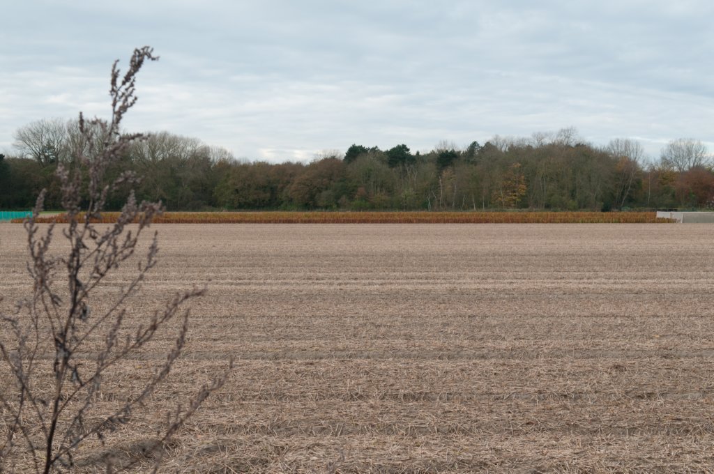 castricum2_001.jpg