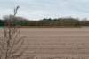 castricum2_001_small.jpg
