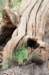 castricum2_007_small.jpg