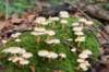 castricum2_010_small.jpg