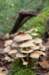 castricum2_011_small.jpg