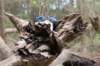castricum2_012_small.jpg